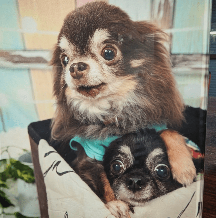 Salon Sora オーナー